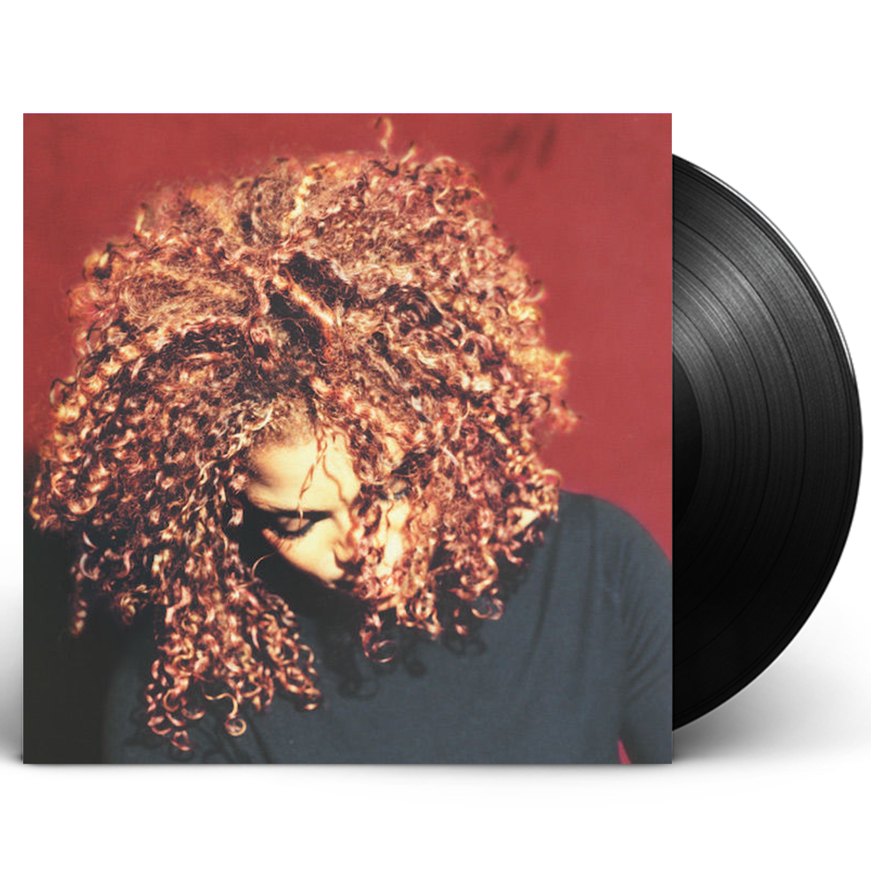 Janet Jackson / The Velvet Rope 2LPレコード - 洋楽