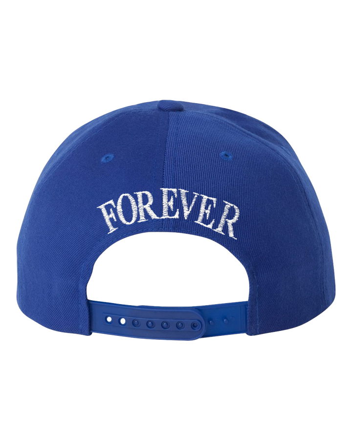 Wu York Snapback - Royal Blue