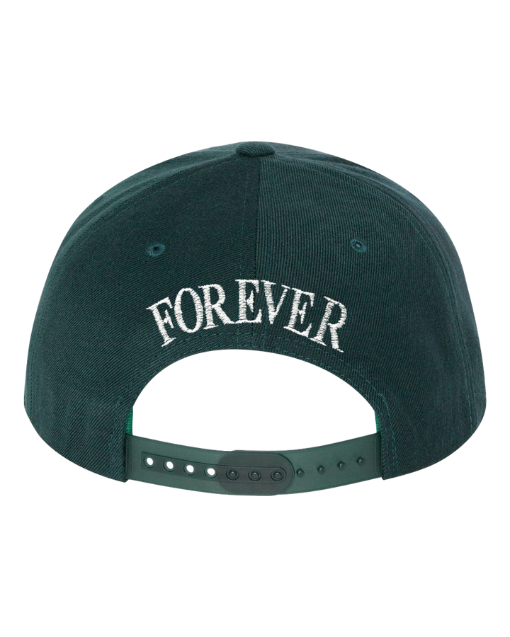 Wu York Snapback - Spruce