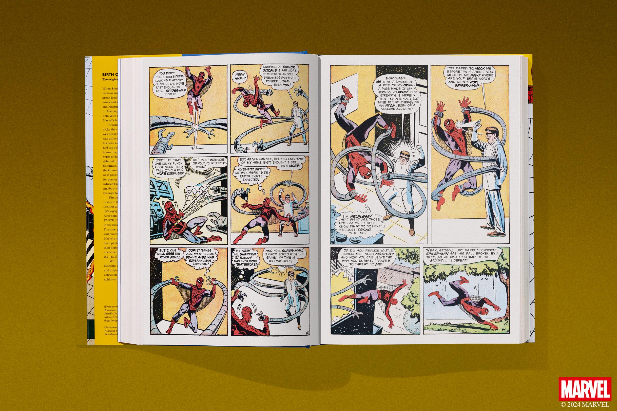 Marvel Comics Library. Spider-Man. 1962–1964 (English