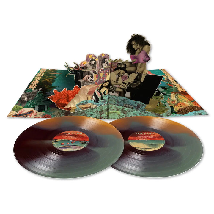 Anderson Paak "Malibu" 10 Year Anniversary 2xLP Vinyl