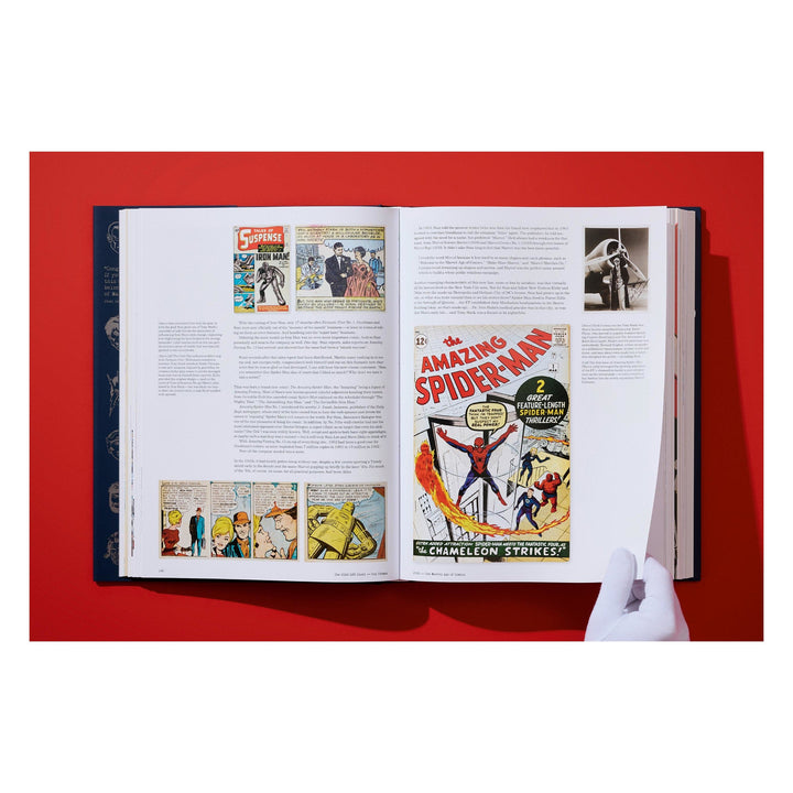 The Stan Lee Story (English)