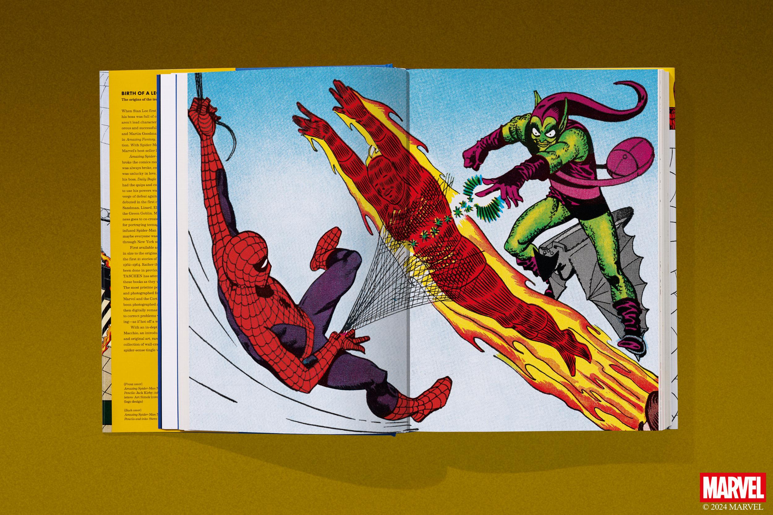 Marvel Comics Library. Spider-Man. 1962–1964 (English