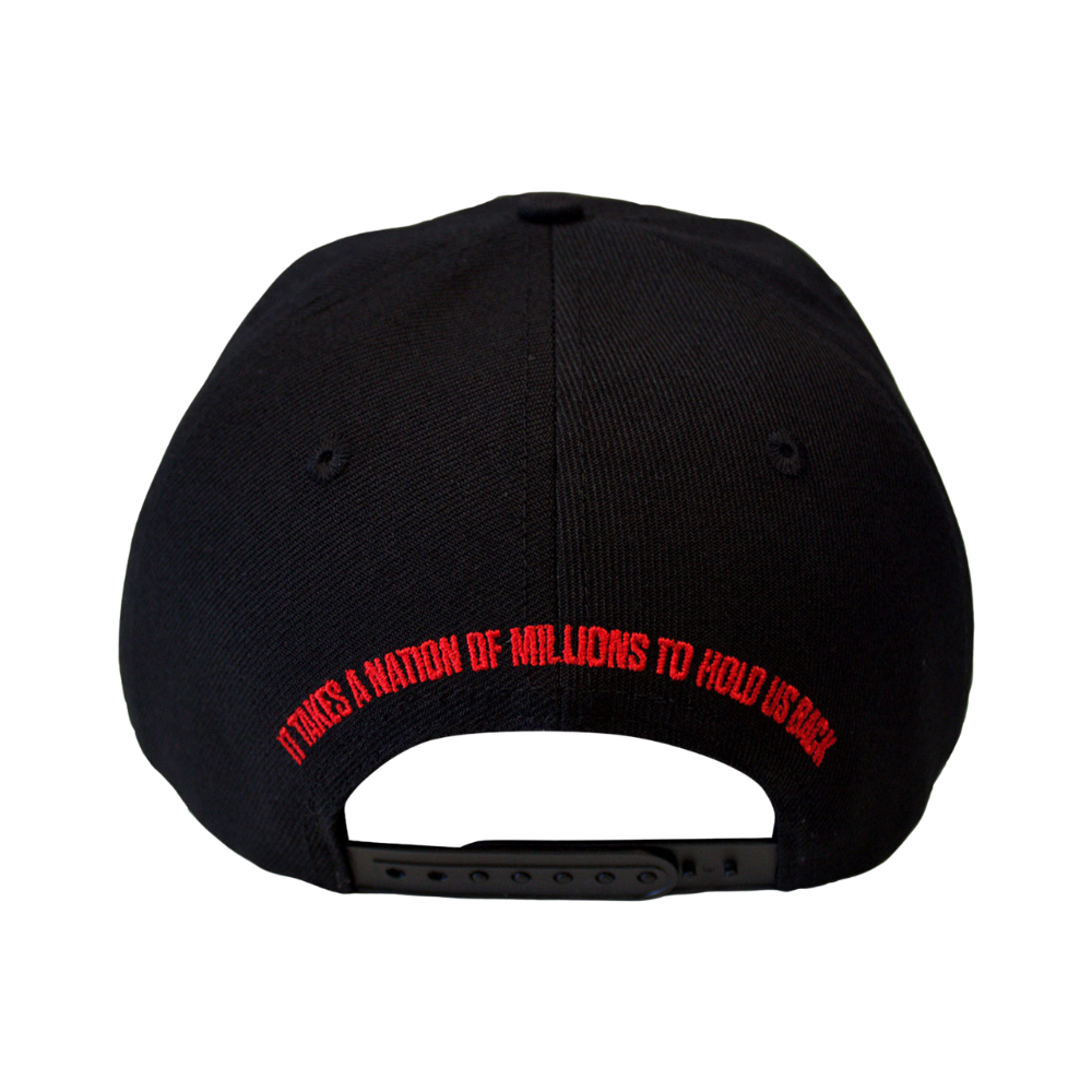 Public Enemy It Takes A Nation Snapback Cap