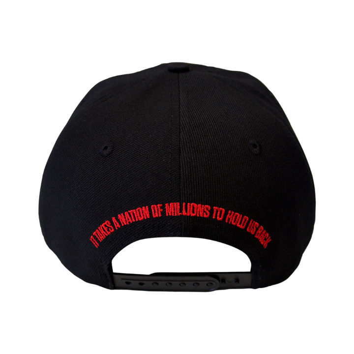 Public Enemy It Takes A Nation Snapback Cap