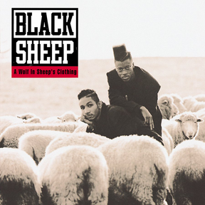 Black Sheep "A Wolf in Sheep's Clothing" 2xLP Vinyl